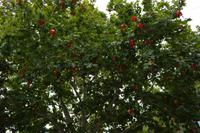 Luoyang_Drachentor Grotte (11)