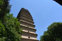 Xi'an_Kleine Wildganspagode (1)