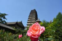 Xi'an_Kleine Wildganspagode (5)