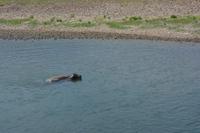 Schifffahrt auf dem Li-Fluss (17)