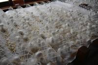 Suzhou_Seidenmanufaktur (4)