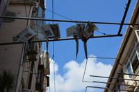 Shanghai_Japanisches Viertel (3)