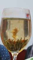 1836_Drachenbrunnen-Teeplantage - Blumentee