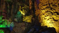 1850_Schilfrohrflötentropfsteinhöhle in Guilin - Brokkoli, Erdnuss, ...