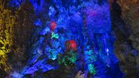 1851_Schilfrohrflötentropfsteinhöhle in Guilin - Blumen