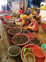 Markthalle Yangshuo (3)