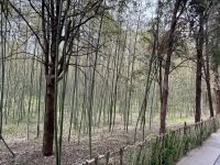 Shaolin Kloster, Luoyang