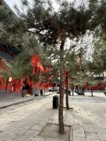 Shaolin Kloster, Luoyang