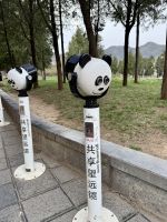 Shaolin Kloster, Luoyang