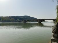 Drachentor Grotte, Luoyang