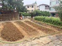 Bauernhaus, Yangshuo