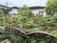 Garten des Meisters der Fischernetze, Suzhou