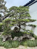 Garten des Meisters der Fischernetze, Suzhou