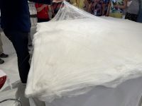 Seidenmanufaktur, Shanghai