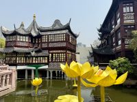 Zick Zack Brücke, Shanghai