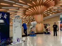 Akrobatikshow, Shanghai