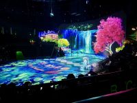 Akrobatikshow, Shanghai