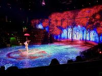 Akrobatikshow, Shanghai