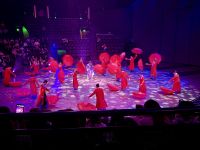 Akrobatikshow, Shanghai