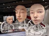 Französisches Viertel, Shanghai 