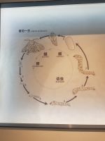 Seidenfabrik in Suzhou