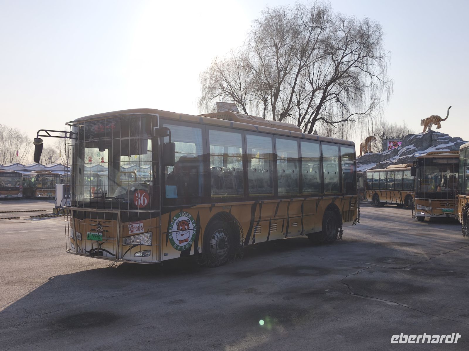 Bus im Sibirischer Tiger Park in Harbin - China