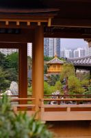 Chi Lin Kloster - Hongkong &ndash; &copy; Sten Bernhardt (Eberhardt TRAVEL)