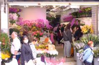 Blumenmarkt in Hongkong  &ndash; &copy; Sten Bernhardt (Eberhardt TRAVEL)