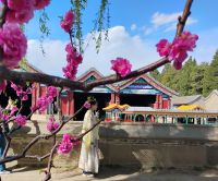 Fotoshooting - vor Blüten und Palast perfekt getroffen &ndash; &copy; Monika Cortese (Eberhardt TRAVEL)