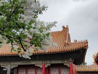 Verbotene Stadt, Peking &ndash; &copy; Monika Cortese (Eberhardt TRAVEL)