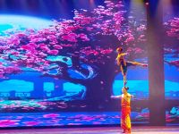 Akrobatikshow &ndash; &copy; Monika Cortese (Eberhardt TRAVEL)