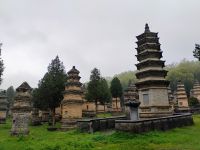 Pagoden Wald  &ndash; &copy; Monika Cortese (Eberhardt TRAVEL)