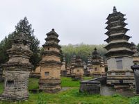 Pagoden Wald  &ndash; &copy; Monika Cortese (Eberhardt TRAVEL)