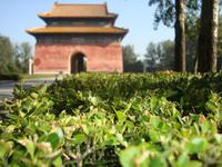 Eingang zur Geisterallee