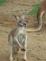 ... und ganz coole Typen zu sehen.