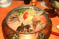 318 Shigatse