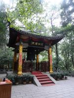 319 In Hangzhou