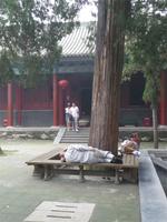 die Mönche halten Mittagsruhe