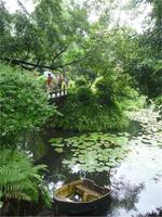 im Orchideenpark in Kanton