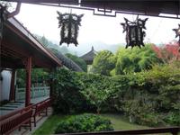 Teeplantage in Hangzhou