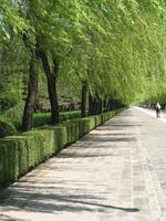 Allee der Seelen &ndash; &copy; Nicole Niendorf (Eberhardt TRAVEL)