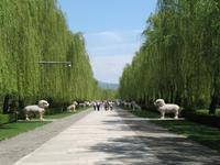 Allee der Seelen &ndash; &copy; Nicole Niendorf (Eberhardt TRAVEL)