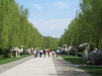 Allee der Seelen &ndash; &copy; Nicole Niendorf (Eberhardt TRAVEL)