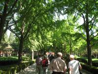 Lama-Tempel in Peking &ndash; &copy; Nicole Niendorf (Eberhardt TRAVEL)
