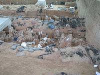 Xi'An - Terrakottarmee &ndash; &copy; Nicole Niendorf (Eberhardt TRAVEL)