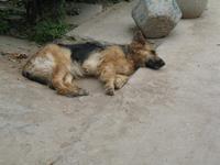 Xi'An - Chinesisches Dorf &ndash; &copy; Nicole Niendorf (Eberhardt TRAVEL)