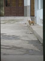 Xi'An - Chinesisches Dorf &ndash; &copy; Nicole Niendorf (Eberhardt TRAVEL)