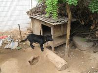 Xi'An - Chinesisches Dorf &ndash; &copy; Nicole Niendorf (Eberhardt TRAVEL)