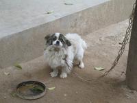 Xi'An - Chinesisches Dorf &ndash; &copy; Nicole Niendorf (Eberhardt TRAVEL)