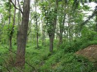 Xi'An - Chinesisches Dorf &ndash; &copy; Nicole Niendorf (Eberhardt TRAVEL)